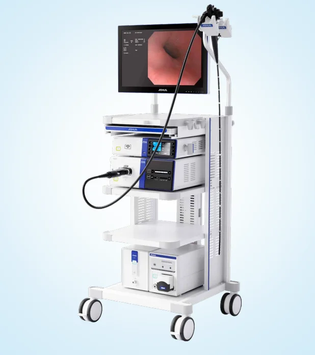 AQ-200 Video Endoscopy System