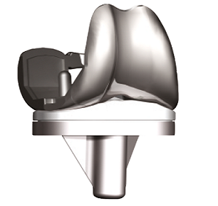DESTIKNEE Knee System