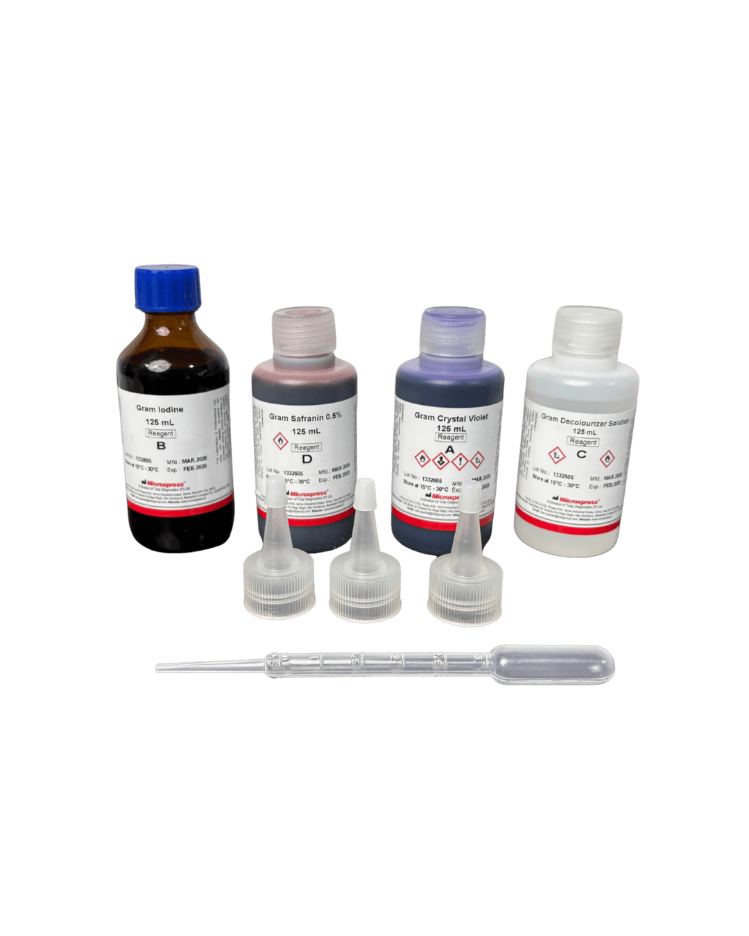 Gram stain