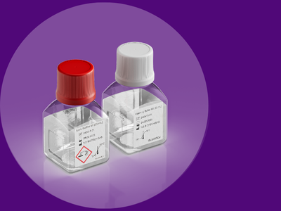 NG-TEST Blood Culture PREP ready-to-use reagent for positive blood culture sample preparation