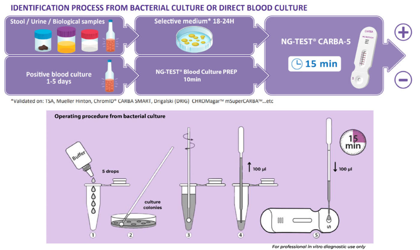 NG-TEST CARBA-5 identification process from bacterial culture or direct blood culture, with the 15 minute operating procedure
