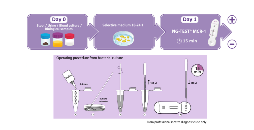 NG-TEST MCR-1 workflow from bacterial colony to result in 15 minutes