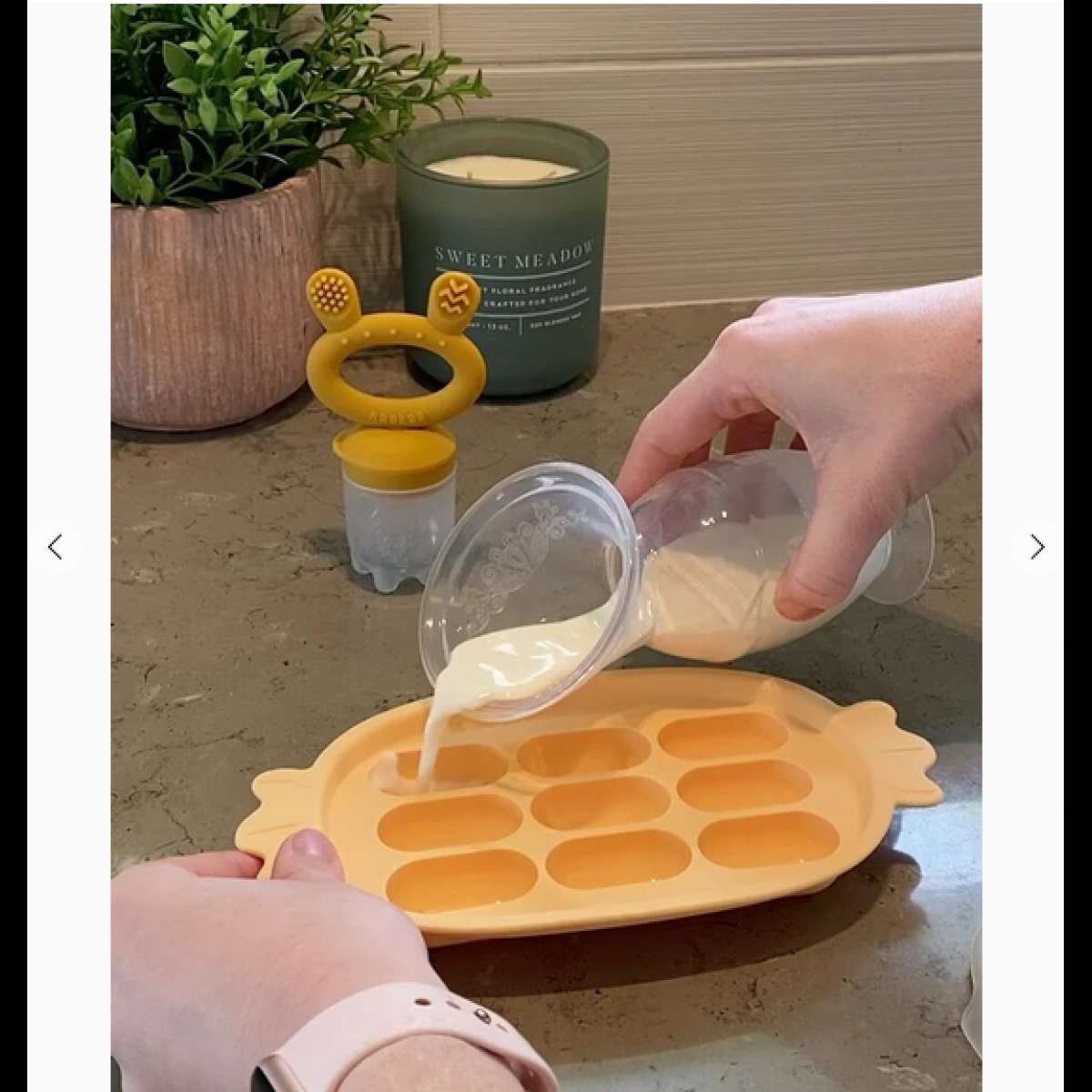 Silicone Nibble Tray