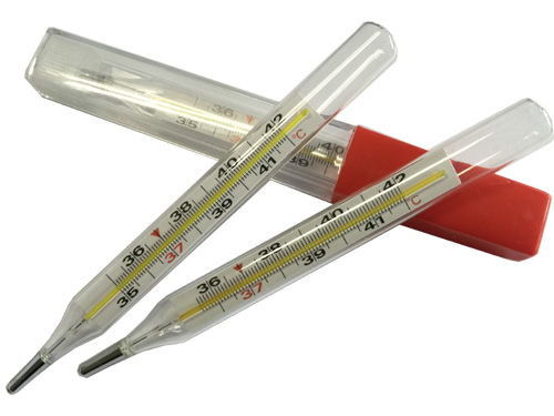 Thermometer Oral