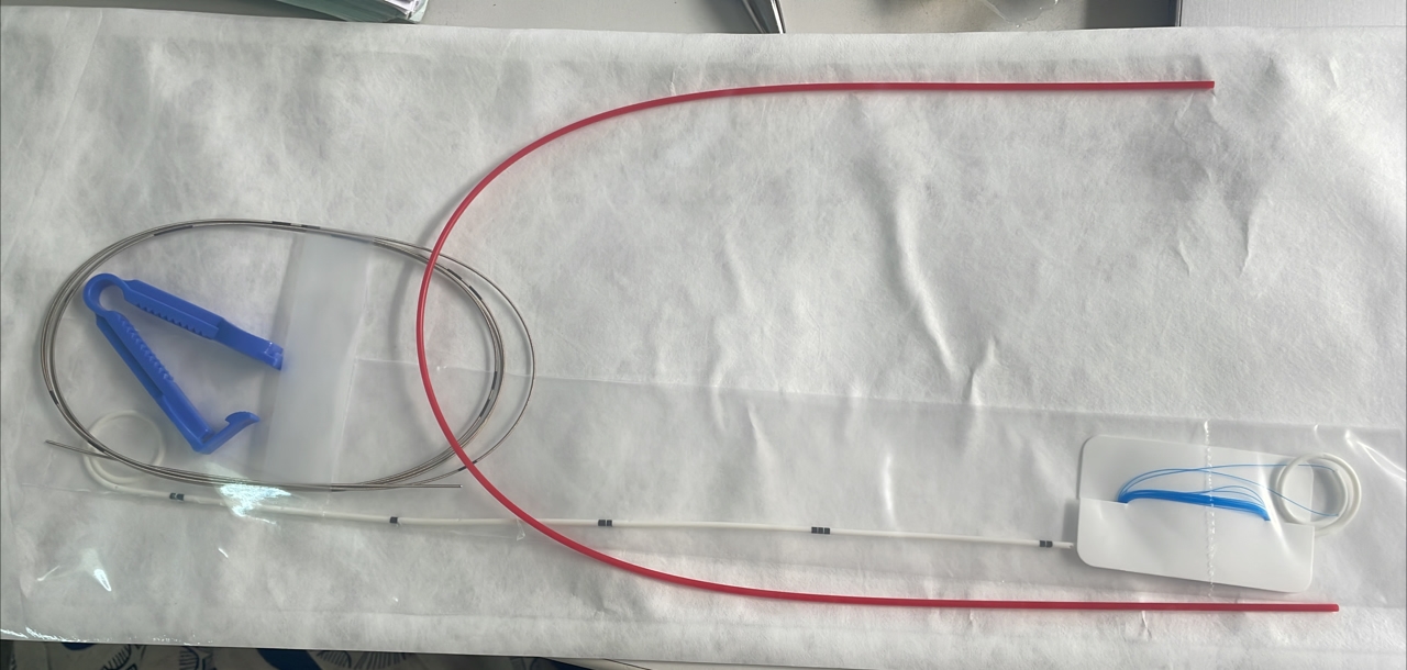 Ureteral Stent
