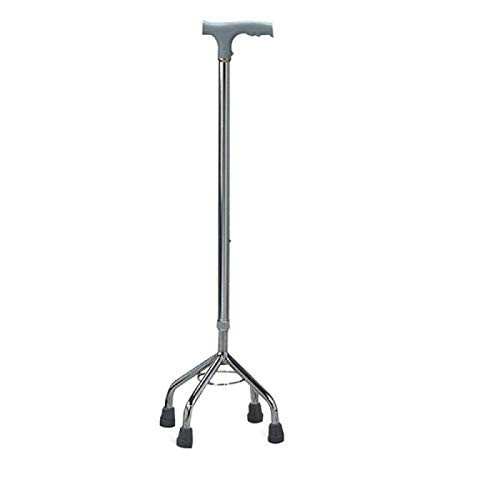 Walking Stick