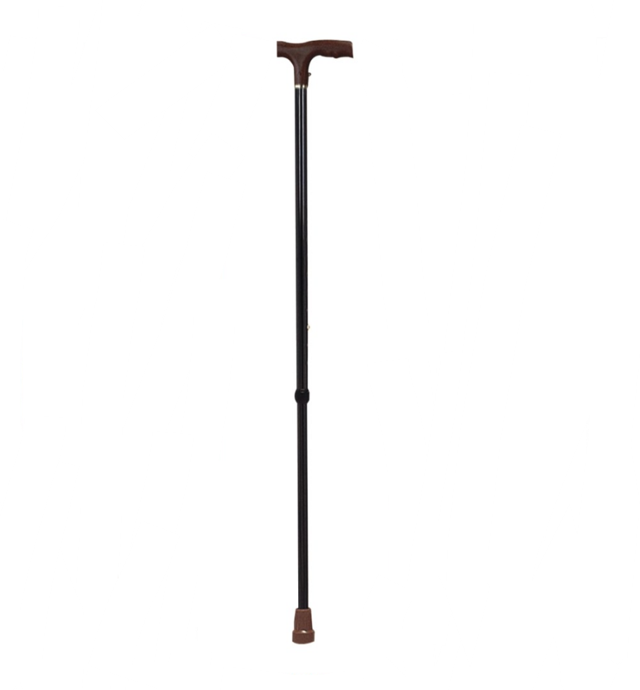 Walking Stick